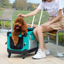 Poussette de chiens avec transporteur détachable